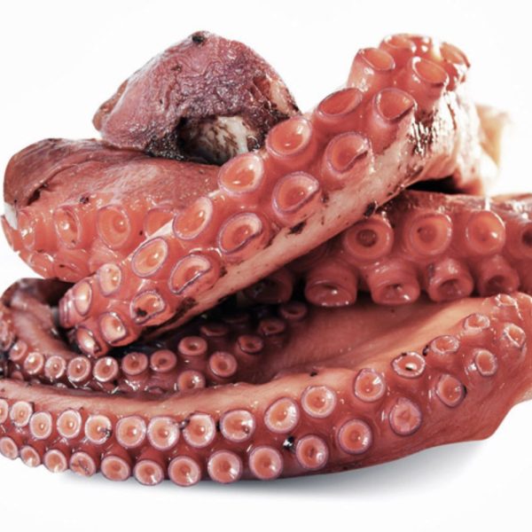 Pulpo Del Norte Entero Congelado