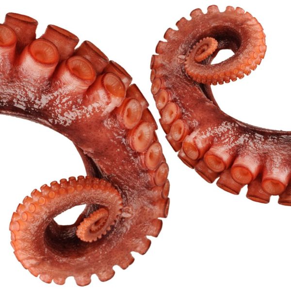 Tentáculos De Pulpo Cocido (300 Grs Aprox)